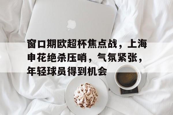 九游体育下载-窗口期欧超杯焦点战，上海申花绝杀压哨，气氛紧张，年轻球员得到机会的简单介绍